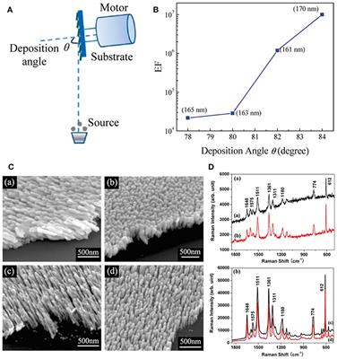 Ag Nanorods-Based Surface-Enhanced Raman Scattering: Synthesis, Quantitative Analysis Strategies, and Applications